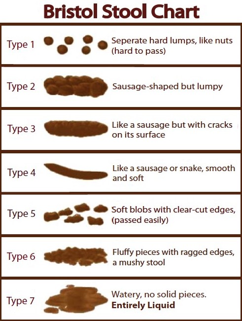 Bristol-Stool-Chart-Healthy-Poop